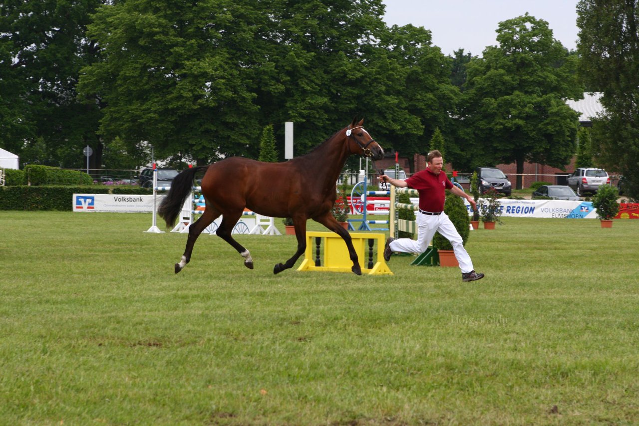 Bild 106 - Elmshorn am 9.6.10